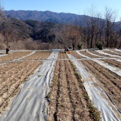 防寒対策をしていてもジンジンと寒さが伝わってきます