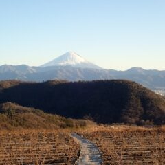 富士山が夕陽に照らされています