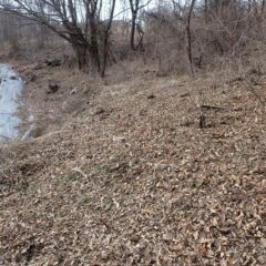 片付け終わってスッキリ！