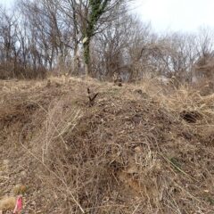 残るはススキや野バラなど雑草の片付け作業