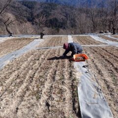 完全防寒対策をしていても寒い！