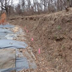 最後に溝の掃除をして終了