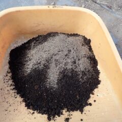 来週は雨が降る予報が出ているので小さなヨモギの種を培養土に混ぜて蒔きます
