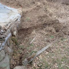 枯草片付け終了