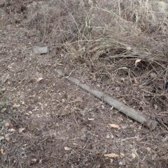 葡萄畑の耕作放棄地のためコンクリート支柱や鉄線があらゆる所に放置されています