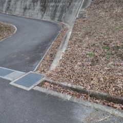 雨水が集まる場所は落ち葉がびっしりと詰まっています