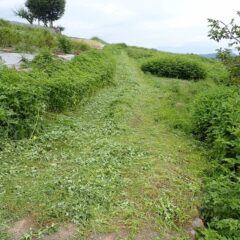 半分まで草刈り終了