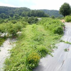道の端まで草刈り作業終了！！