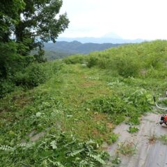 取り急ぎローズを救出