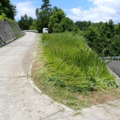 農場に続く農道脇の草刈り作業