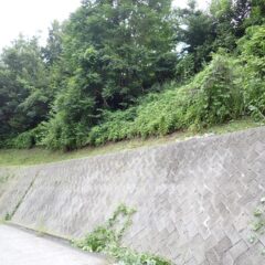 石垣の上の草刈り作業終了