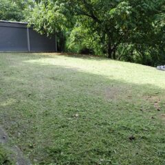 これ以上伸びると厄介なので草刈りをしました