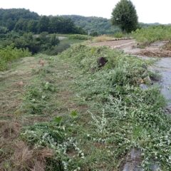 通路の端まで辿り着きました