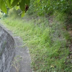 足場が狭いので一苦労です