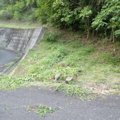本日の草刈り作業終了