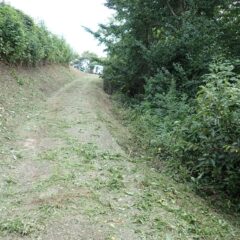 草刈り作業開始！