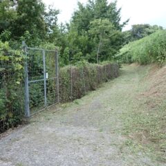 入り口付近の草刈り作業終了