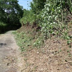 この区間の草刈り作業も無事終了