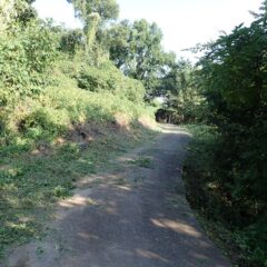 何とかラベンダー畑に続く農道の草刈り作業終了