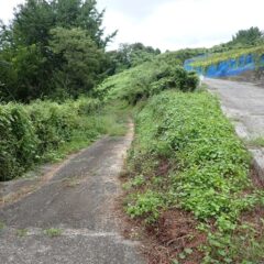 道は何処へ