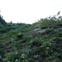 本日の草刈り作業はここまで