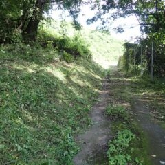 農道の2/3まで辿り着きました