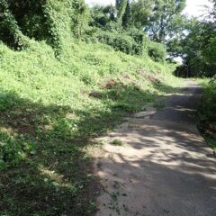 山側の草刈り作業終了