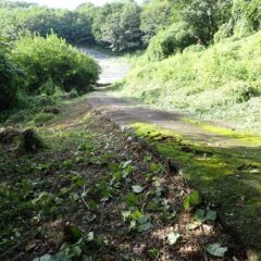 谷側の草刈り作業も終了して無事開通！
