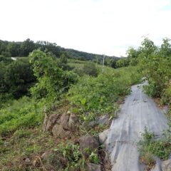 最後にもうひと仕事