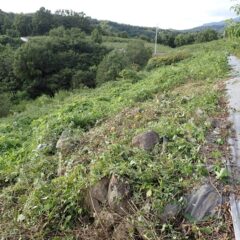 本日の草刈り作業終了
