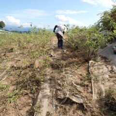 急な斜面で足腰に負担が掛かります