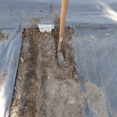 種を蒔く場所を耕します