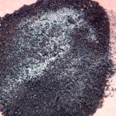 カモマイル・ジャーマンの種子は非常に小さいです