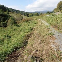 取り急ぎ草刈り作業開始！