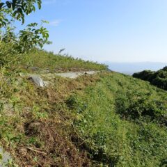 何とか緩衝地帯を確保しました