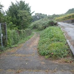 ラベンダー畑に通じる農道がまたまた雑草で覆われてしまいました