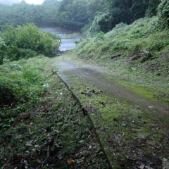 小雨の降る中、何とか夕暮れ前に草刈り作業終了