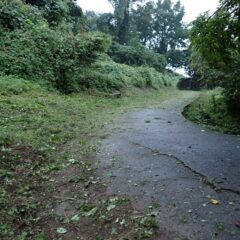 ラベンダー畑まで到着