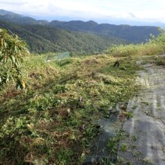 何とか緩衝地帯確保