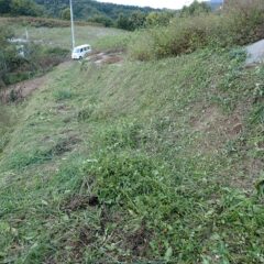 半分まで草刈り作業完了