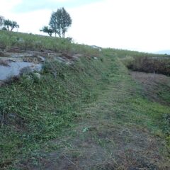 中央通路の草刈り作業終了