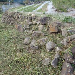 石垣の雑草を綺麗に刈り取りました