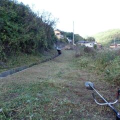 大急ぎで草刈り作業