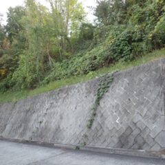 農道脇の石垣の上の雑草がまたまた伸びて来てしまいました