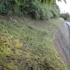 草刈り作業終了