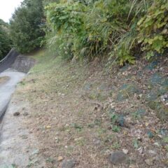 これで今年は最後になると良いのですが・・・