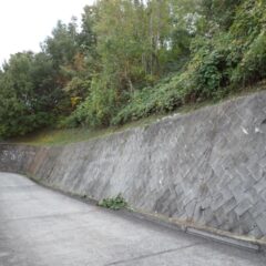 農道の管理も地域の大切な作業のひとつです