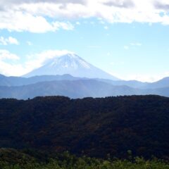 農場のローズ畑には木枯らしが吹き荒れ、雪煙を舞い上げている富士山が見えました