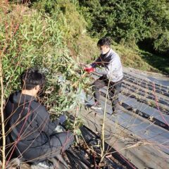 朝晩の寒さが厳しくなりこれ以上の成長は望めません