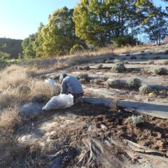 日が沈むまで除草作業は続けられています